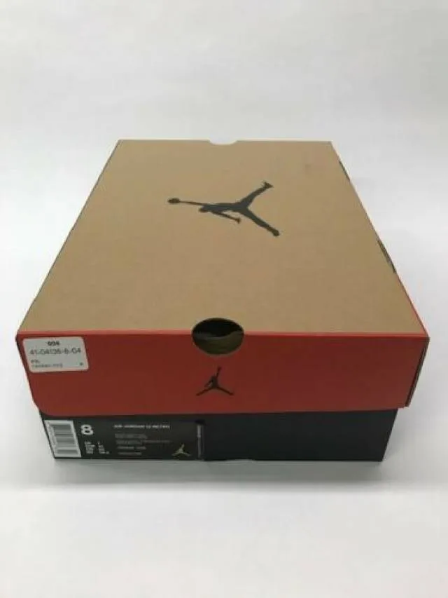 Air Jordan 12 Flu Game 2016